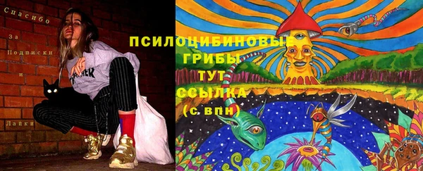 прущая мука Лихославль