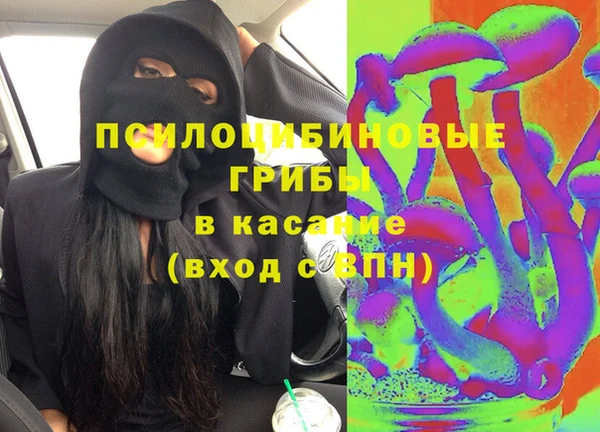 молекула духа Липки