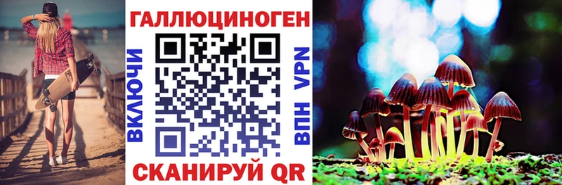 Псилоцибиновые грибы мицелий  купить наркоту  Шацк 